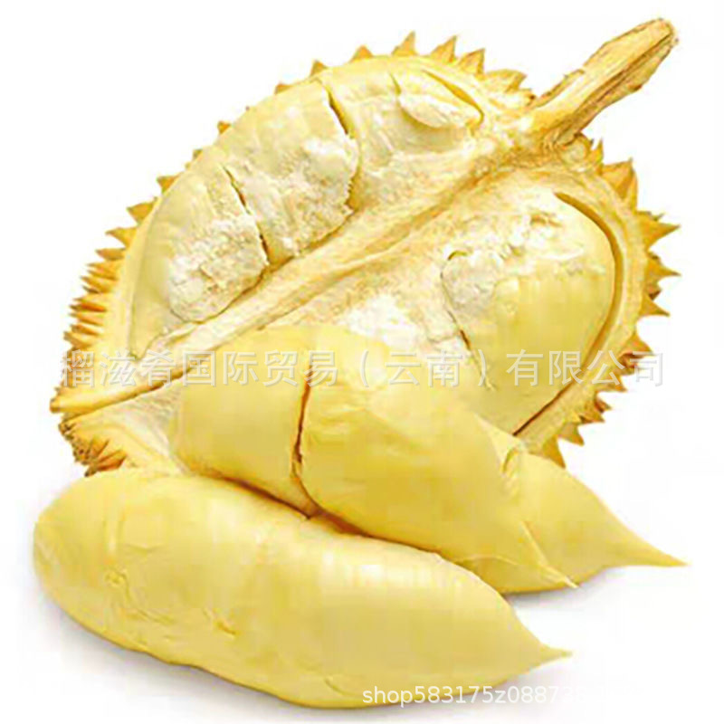 Thai Golden Pillow Durian Fresh Durian Whole Shell Dropshipping