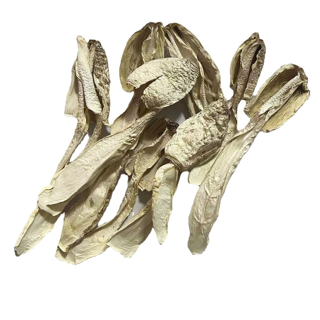 Gutian small chicken leg mushroom dry goods new product chicken leg mushroom wholesale delivery edible mushroom ingredients wholesale