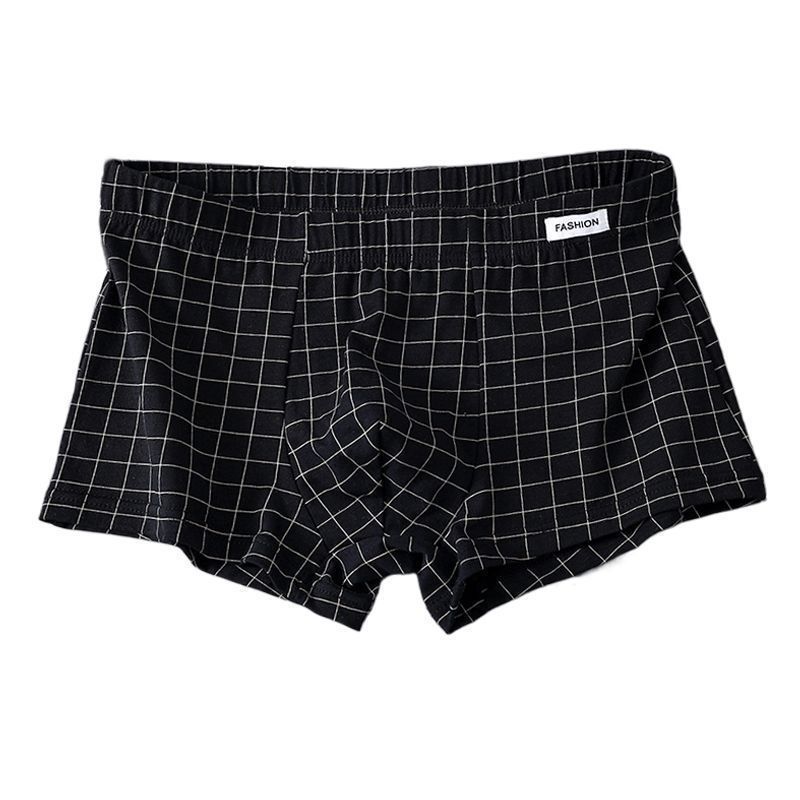 New Autumn and Winter Men's Underwear Cotton Loose Breathable Arlo Pants Boxer Shorts Teenagers Boys Boxer Shorts