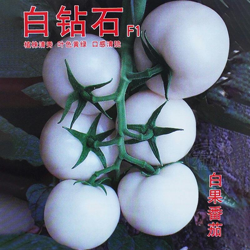 White Diamond Tomato Seeds, Large Tomato Vegetable Seeds, Specialty Vegetable Seeds, Four-Season Seeds, Tourist Garden