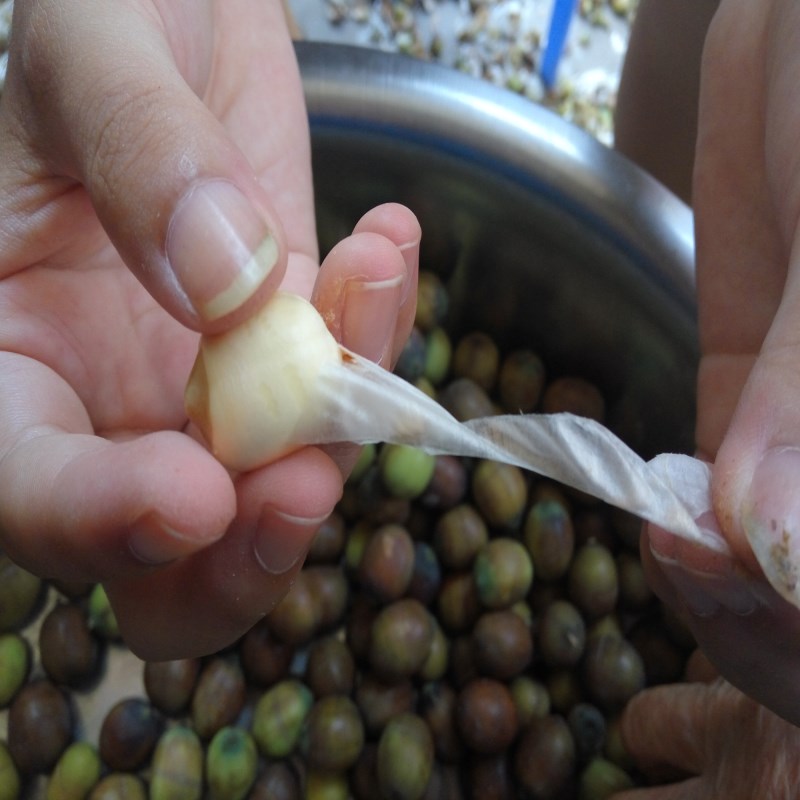 Guangchang Cored Lotus Seeds Farm-Produced Handmade White Lotus Seeds Cored Lotus Seeds Dry Goods Cored Lotus Rice 500g Sulfur-Free