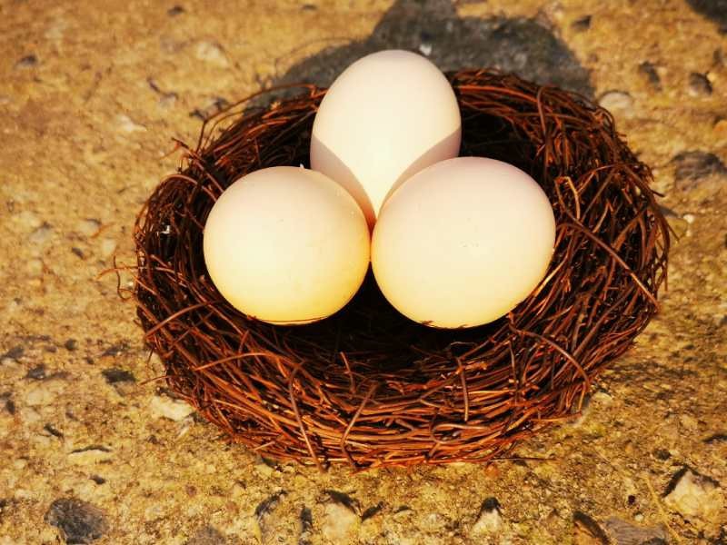 Rattan Bird's Nest retro Bird's Nest manufacturers