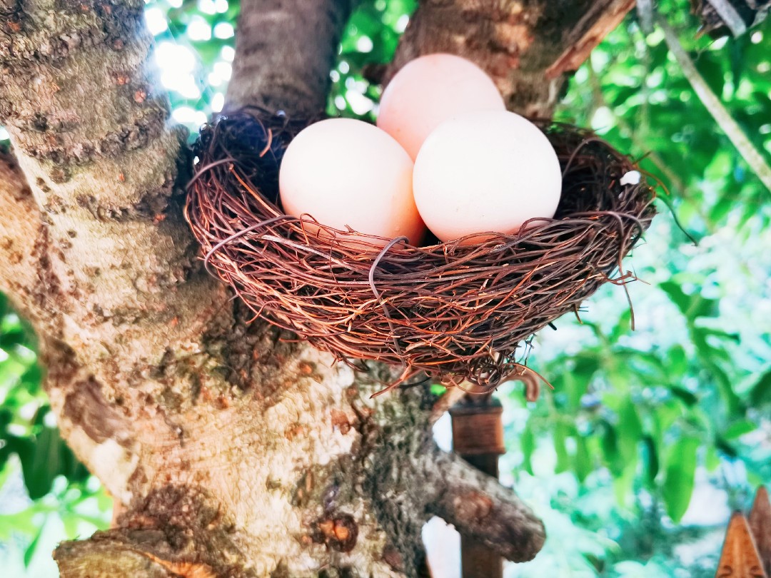 Rattan Bird's Nest retro Bird's Nest manufacturers