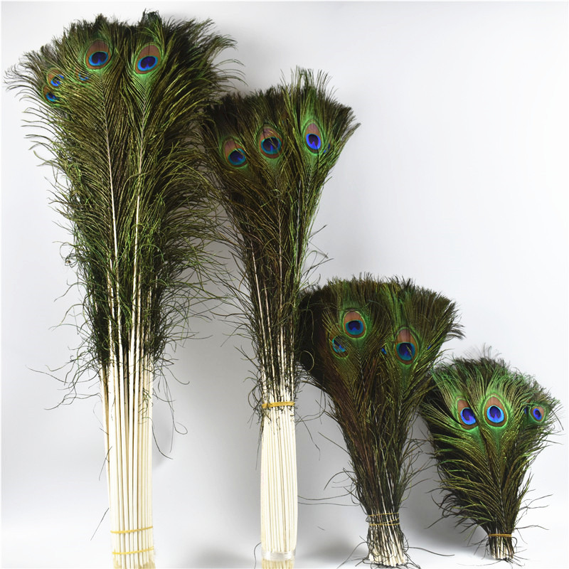 25-30cm Peacock Hair Jewelry Feather Decoration Feather Home Flower Arrange Stage Clothing Feather
