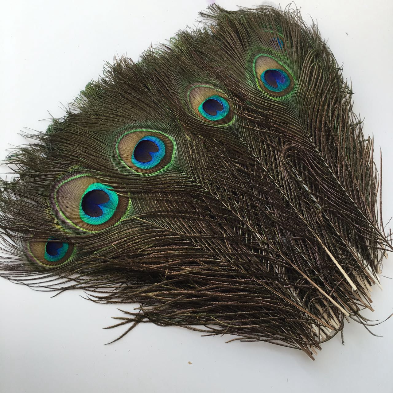 25-30cm Peacock Hair Jewelry Feather Decoration Feather Home Flower Arrange Stage Clothing Feather