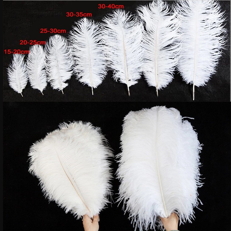 Factory direct 15-80cm ostrich feather stage performance White feather wedding DIY decoration ostrich feather wholesale