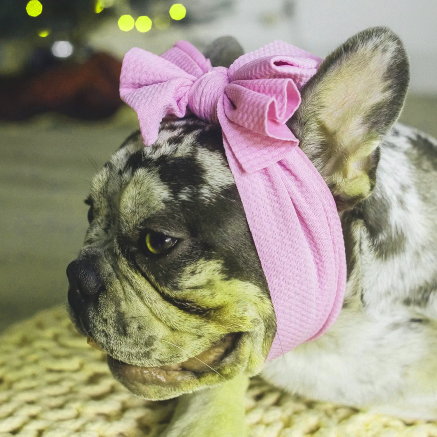 Amazon Cross-border Pet Products Wholesale Dog Funny Headband Cat Solid Color Double Bow Headwear 12 Color