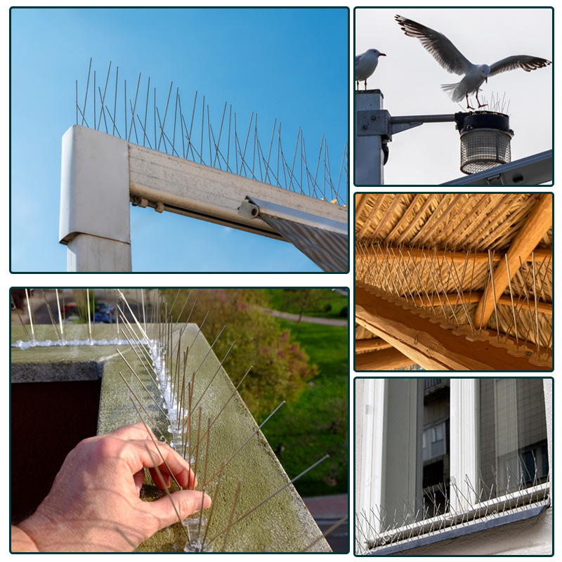 Home Agriculture Protection Cross-Border Spot Home Protection Anti-Bird Thorn Balcony Bird Thorn Repellent Bird Thorn Handy Gadget Not