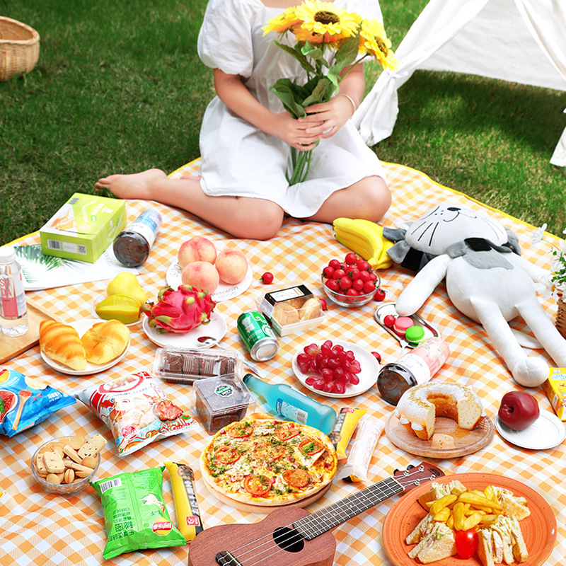 Picnic Mat Waterproof Thickened Portable Outdoor Picnic Mat Super Thick Lawn Spring Beach Moisture-Proof Mat