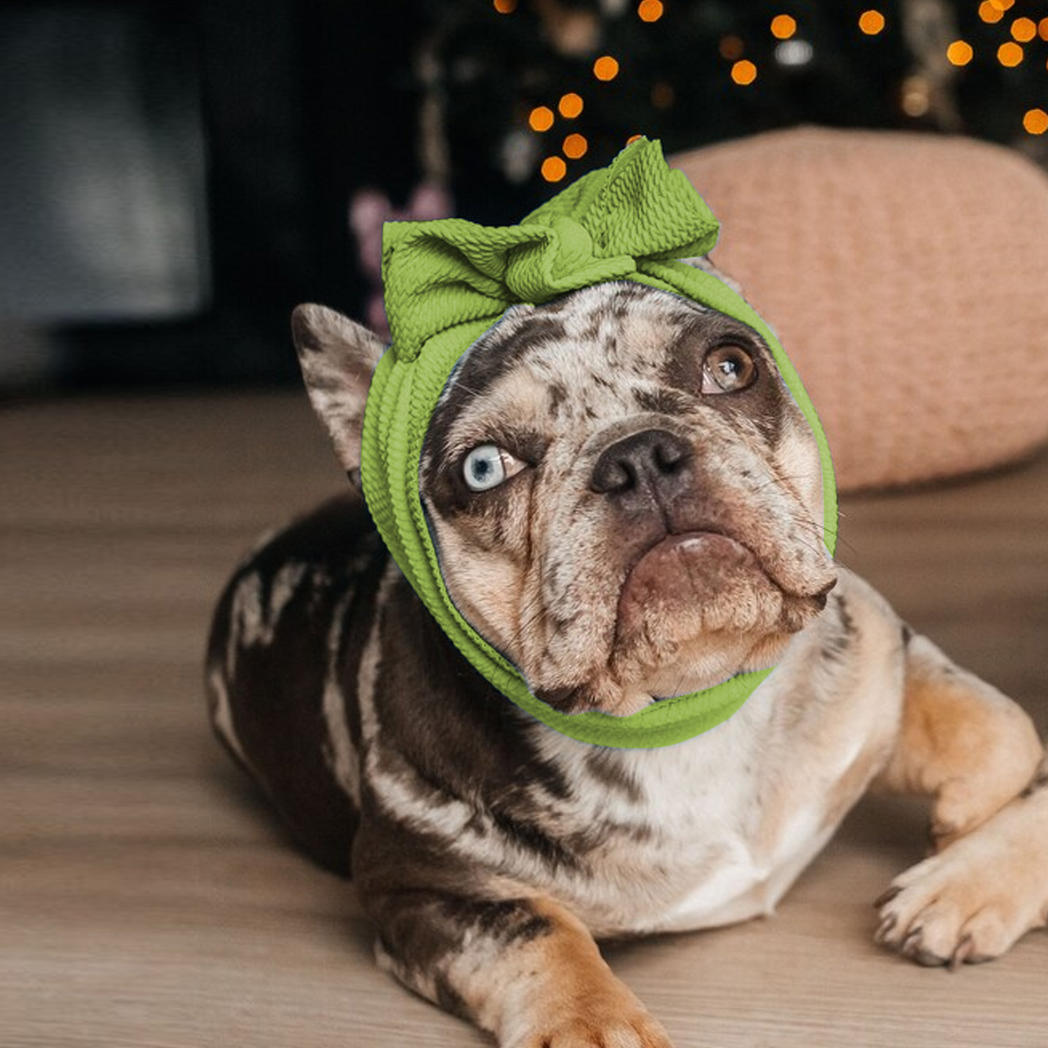 Amazon Cross-border Pet Products Wholesale Dog Funny Headband Cat Solid Color Double Bow Headwear 12 Color