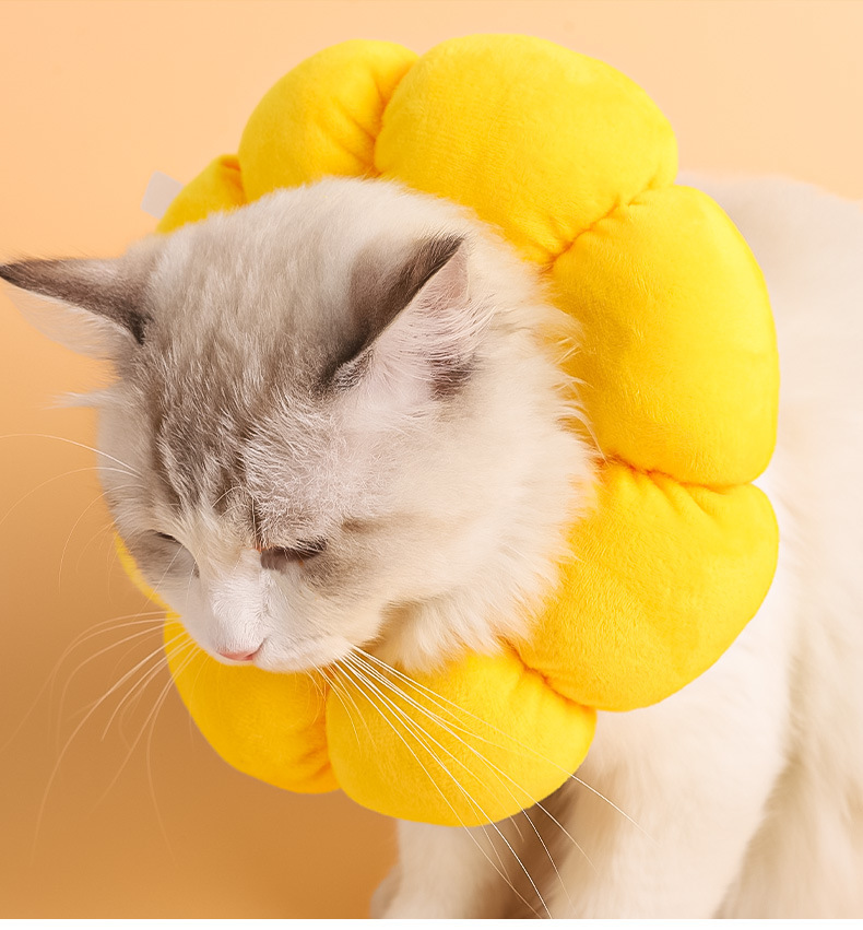 Spot Sunflower Elizabeth Ring Cat Collar Pet Dog Neck Neck Sterilization Shame Ring Anti-Lick Anti-Scratch Sleeve